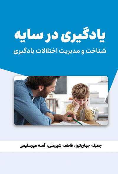 یادگیری در سایه